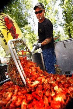 Enjoy The Seafood With Louisiana Crawfish Festival